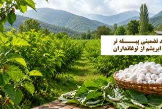 خرید ابریشم 1404 صنعت آفرینان امداد