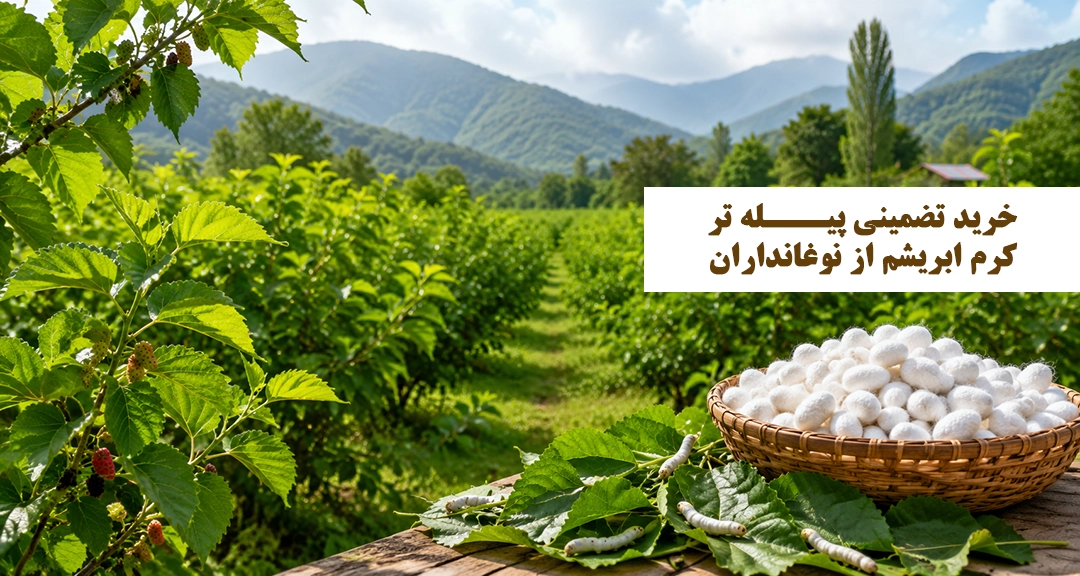 خرید ابریشم 1404 صنعت آفرینان امداد
